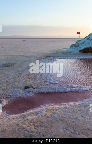 Lac salé Chott el Jerid dans le centre de la Tunisie. Tôt le matin, et le lever du soleil Banque D'Images