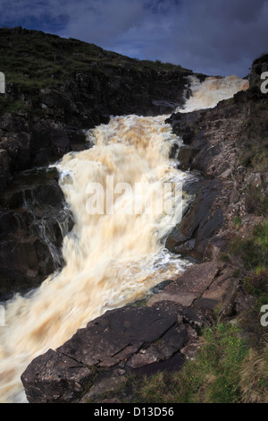 Museau chaudron cascade, fleuve Tees, Maison du Maure Réserve naturelle nationale, la région de Teesdale, comté de Durham, Angleterre, Grande-Bretagne, Royaume-Uni Banque D'Images