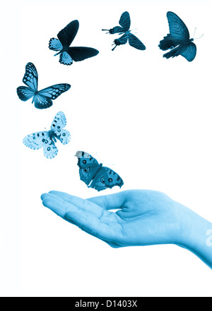Papillon volant en main concept background Banque D'Images