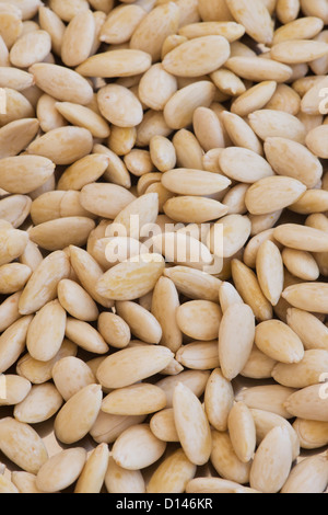 Prunus dulcis. Amandes pelées et trempées Banque D'Images