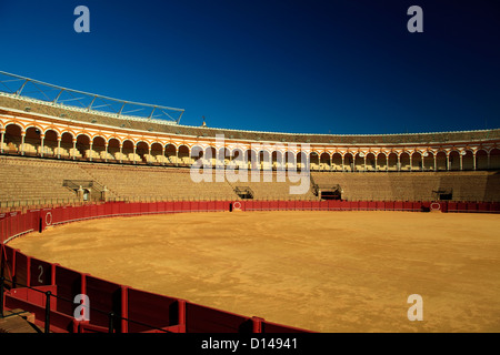 Plaza de los toros arena à Séville Banque D'Images