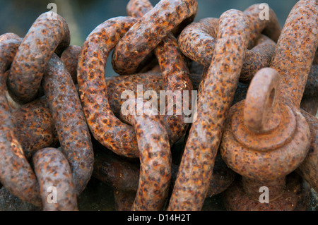 Close up of rusty chaînes en Braye Harbour Alderney, Channel Islands Banque D'Images