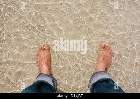 Mans pieds dans l'eau claire on beach Banque D'Images