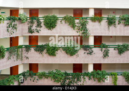 Couloirs de l'hôtel vide avec la porte de chambre et la végétation Banque D'Images