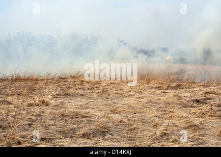 De l'herbe sèche feu au champ près de village Banque D'Images