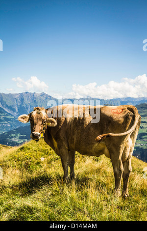 Vue aérienne du paysage rural Banque D'Images