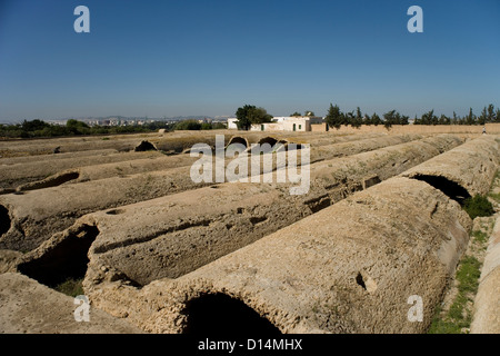 Les citernes romaines et viaduc qui alimentait en eau Carthage du mounatains Zaghouan près de Tunis en Tunisie Banque D'Images