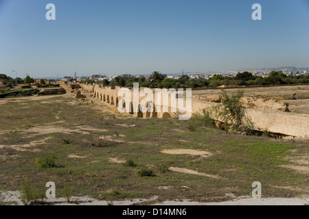 Les citernes romaines et viaduc qui alimentait en eau Carthage du mounatains Zaghouan près de Tunis en Tunisie Banque D'Images