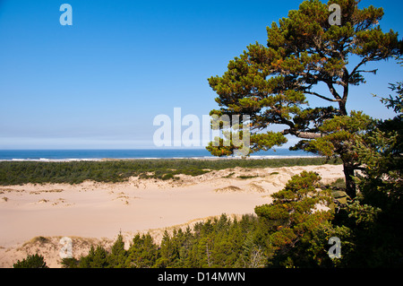 Les dunes de sable près de la ville côtière de Florence dans le Nord de la Californie, USA Banque D'Images