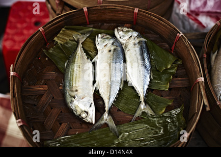 Poisson pour vente à la Banque D'Images