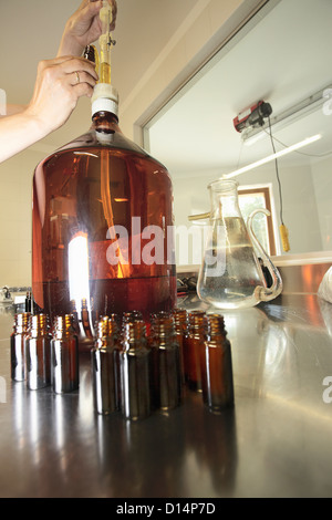 Scientist working in lab Banque D'Images