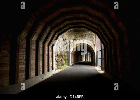 Mosier Twin Tunnels est de la route de la rivière Columbia Historique State Trail à Columbia River Gorge National Scenic Area Banque D'Images