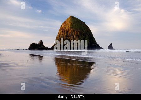 Ou00338-00...OREGON - Sunrise at Cannon Beach avec Haystack Rock couvert d'oiseaux nichant au bord des océans. Banque D'Images