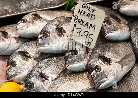 Tête doré poissons daurade en vente sur le marché, en décrochage poissonnier St Hellier, Jersey, Channel Islands, Royaume-Uni Banque D'Images