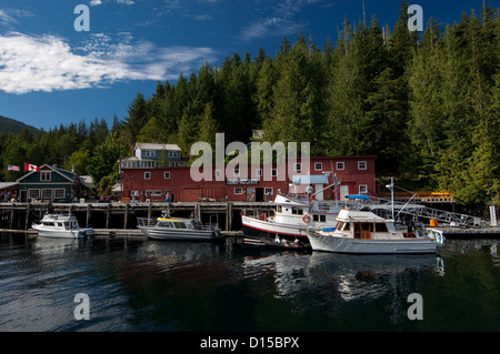 Telegraph Cove, situé dans l'île de Vancouver, Colombie-Britannique, Canada, est une importante plaque tournante pour l'observation des baleines et le kayak de mer. Banque D'Images