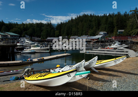 Telegraph Cove, situé dans l'île de Vancouver, Colombie-Britannique, Canada, est une importante plaque tournante pour l'observation des baleines et le kayak de mer. Banque D'Images