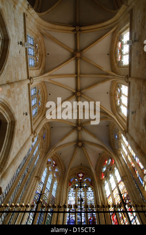 Voûte à l'intérieur de l'église de Saint-Martin à Ambierle, France Banque D'Images