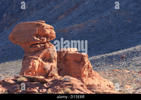 À Red Rock Valley of Fire NEVADA USA Banque D'Images