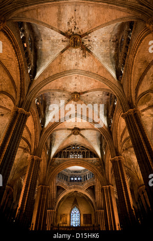 Barcelone, Espagne : plafond voûté et colonnes de la cathédrale de Barcelone Banque D'Images
