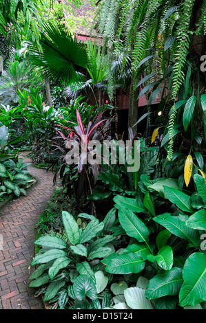 Jim Thompson House garden museum Bangkok Thaïlande jardins tropicaux de la conception Banque D'Images