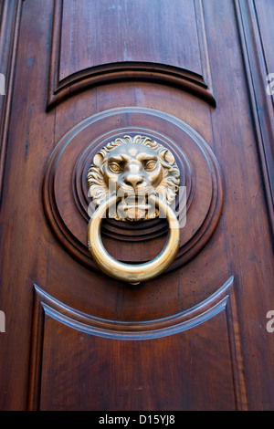 Poignée de porte en forme de tête de lion en cher porte urbaine Banque D'Images