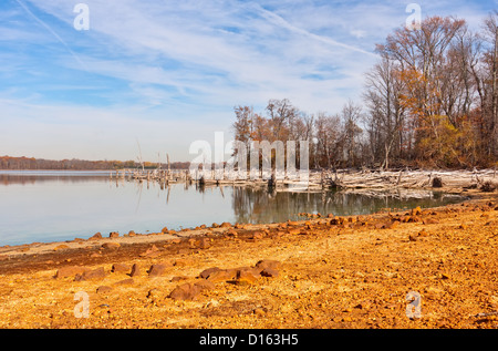 Les arbres morts tombés autour d'un lac. Il y a couleur or sable et argile dans l'avant-plan. Banque D'Images