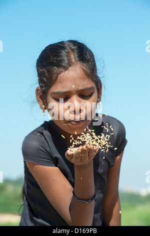 Girl blowing rurales indiennes des grains de riz récoltés à partir de ses mains. L'Andhra Pradesh, Inde Banque D'Images