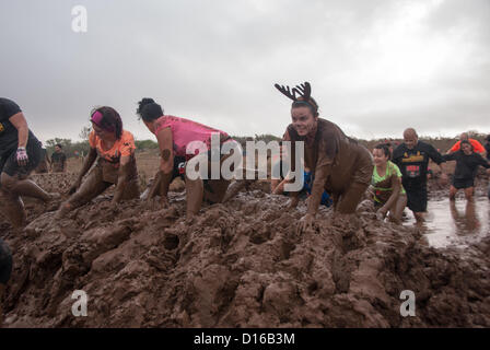 8 décembre 2012 San Antonio, Texas, USA - Les gens rencontrent l'un des nombreux obstacles boue pendant la Gladiator Rock'n courir à San Antonio. Banque D'Images