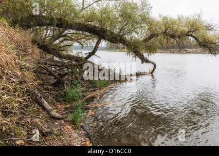 Autour de fleuve Bug, l'Est de la Pologne Banque D'Images