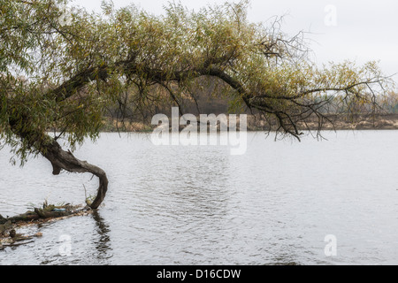Autour de fleuve Bug, l'Est de la Pologne Banque D'Images