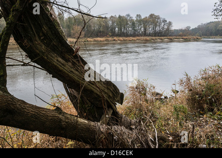 Autour de fleuve Bug, l'Est de la Pologne Banque D'Images