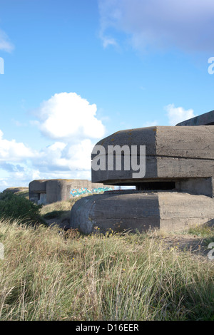 Bunkers allemands de béton de Seconde Guerre mondiale Banque D'Images