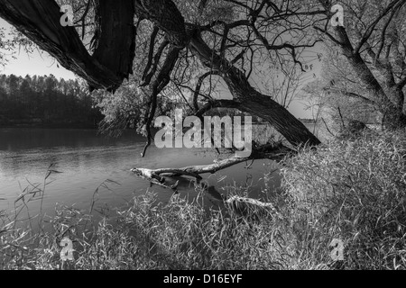 Autour de fleuve Bug, l'Est de la Pologne Banque D'Images