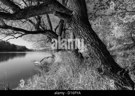 Autour de fleuve Bug, l'Est de la Pologne Banque D'Images