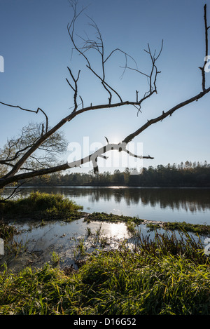 Autour de fleuve Bug, l'Est de la Pologne Banque D'Images
