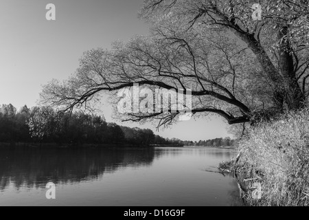 Autour de fleuve Bug, l'Est de la Pologne Banque D'Images