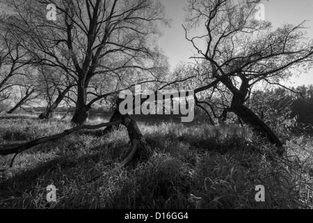 Autour de fleuve Bug, l'Est de la Pologne Banque D'Images