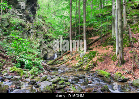 Chutes d'Nyznerov - Silver Brook, Moravie, République Tchèque Banque D'Images