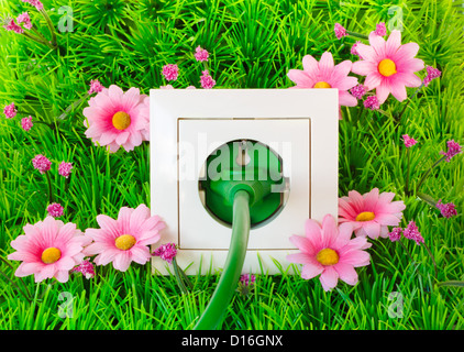 Fiche d'alimentation verte prise en sur l'herbe avec des fleurs Banque D'Images