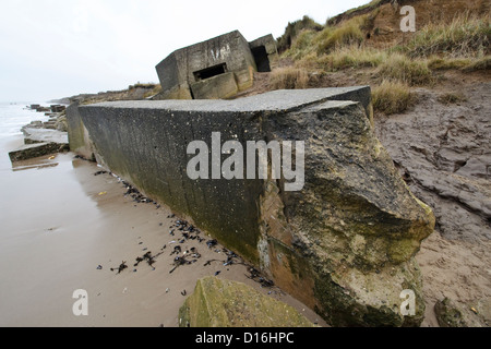 World War 2 tambourin et défenses anti-invasion , Fraisethorpe Beach, Bridlington, East Yorkshire, Angleterre Banque D'Images