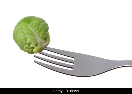 Un seul choux de Bruxelles sur une fourchette contre white Banque D'Images