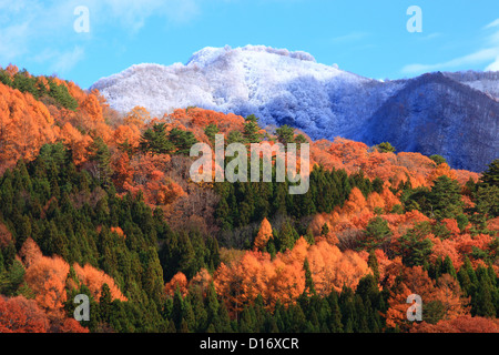 Les arbres, les feuilles d'automne et les montagnes couvertes de neige à Hakuba, Nagano Prefecture Banque D'Images