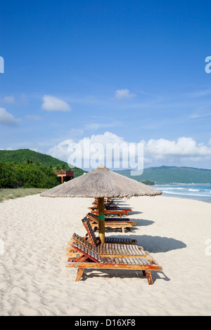 Les transats et parasols au bord de la mer. Banque D'Images