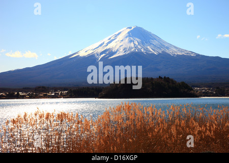 Vue sur le mont Fuji et le lac Kawaguchiko, préfecture de Yamanashi Banque D'Images