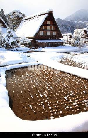 Vieux village Shirakawa settlement couvertes de neige, préfecture de Gifu Banque D'Images