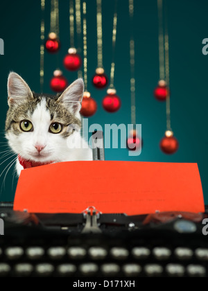 Libre d'un chat mignon à la recherche en face d'elle, derrière une vieille machine à écrire avec un papier rouge sur fond bleu Banque D'Images