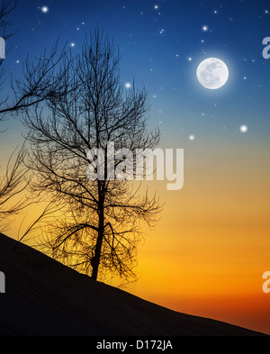 Photo de grand arbre sec dans moonlight, ossature de bois sur hill sur fond sombre nuit, clair de lune avec étoiles brillantes dans le ciel Banque D'Images