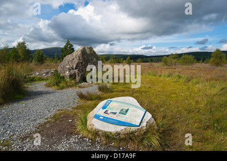 Bruce's stone, Clatteringshaws Loch, Dumfries et Galloway, Scotland UK Banque D'Images