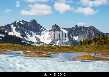 Zone de MT Baker Banque D'Images