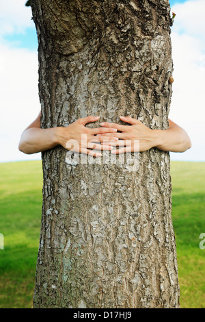 Hawaii, Oahu, les mains autour du tronc d'un arbre. Banque D'Images